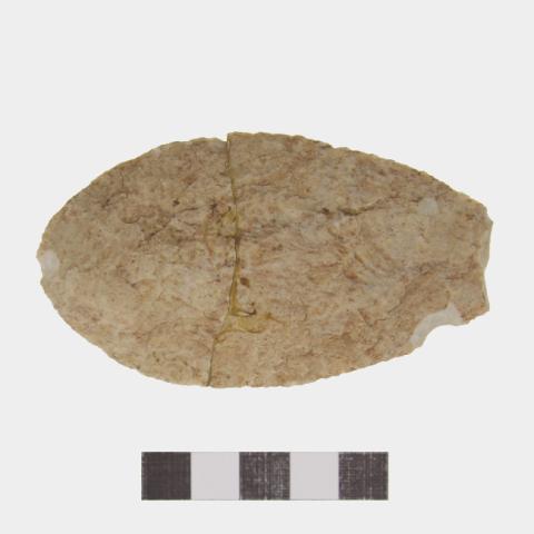 Luis Felipe Mansilla Mánquez