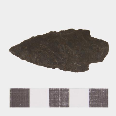 Luis Felipe Mansilla Mánquez