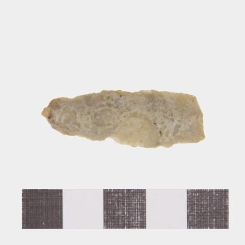 Luis Felipe Mansilla Mánquez