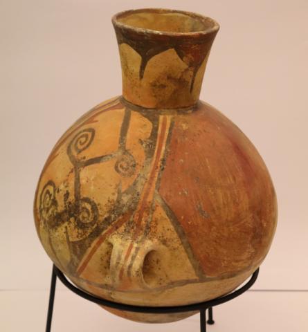 José Tomás Carrasco