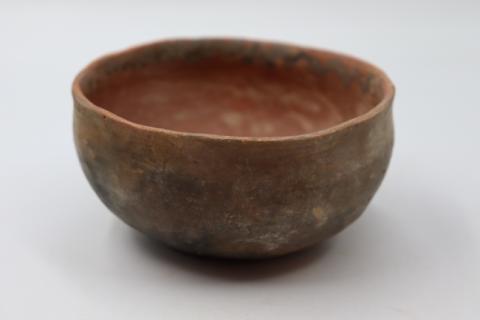 José Tomás Carrasco