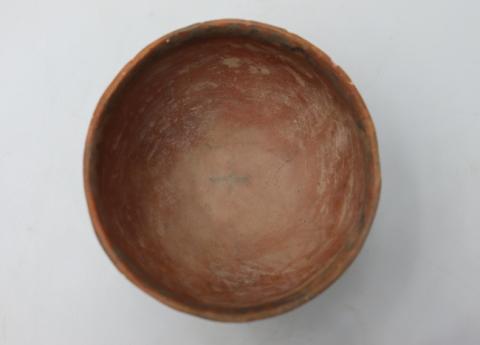 José Tomás Carrasco