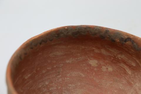 José Tomás Carrasco