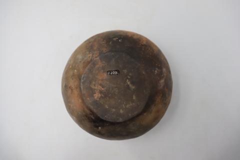 José Tomás Carrasco