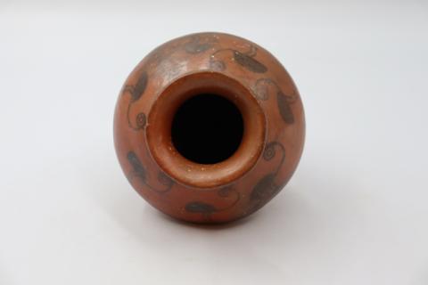 José Tomás Carrasco