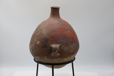 José Tomás Carrasco