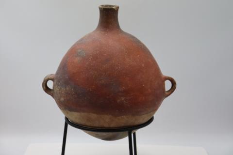 José Tomás Carrasco