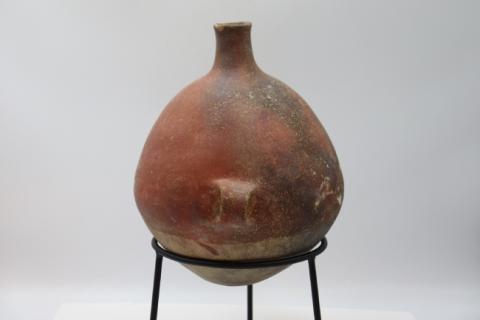 José Tomás Carrasco