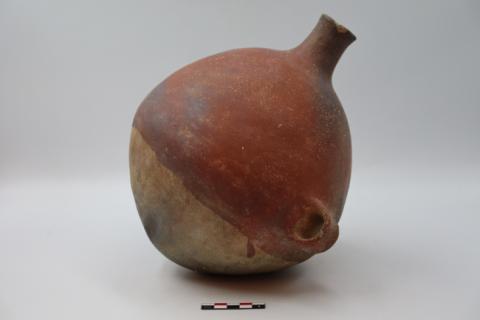 José Tomás Carrasco