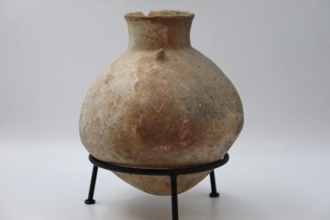 José Tomás Carrasco