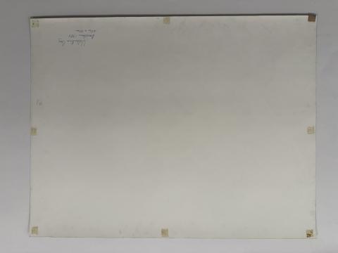 Carolina Correa/ Lorena Ormeño