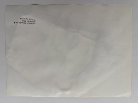 Carolina Correa Orozco