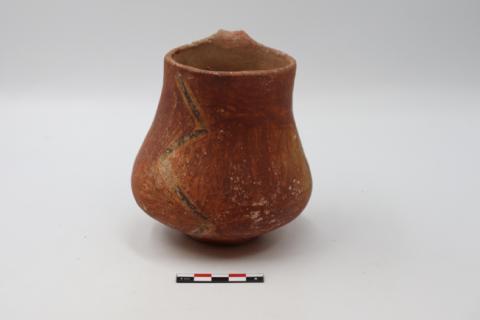 José Tomás Carrasco