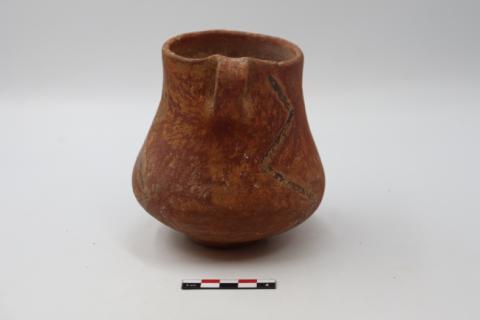 José Tomás Carrasco