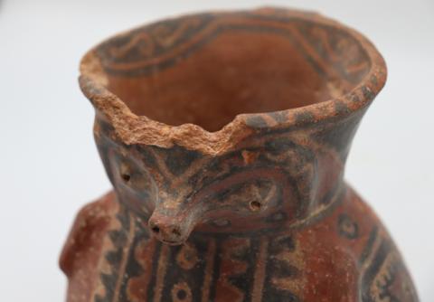 José Tomás Carrasco