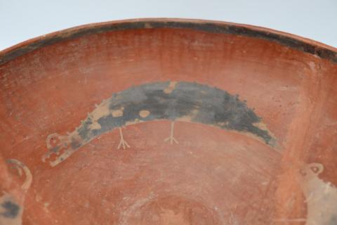 José Tomás Carrasco