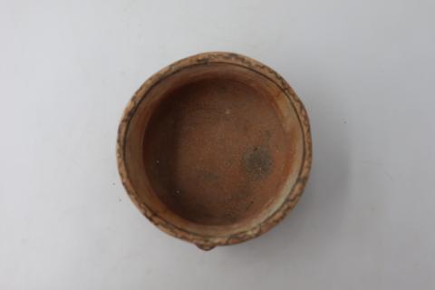 José Tomás Carrasco