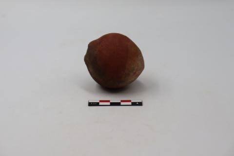 José Tomás Carrasco