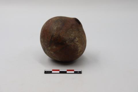 José Tomás Carrasco