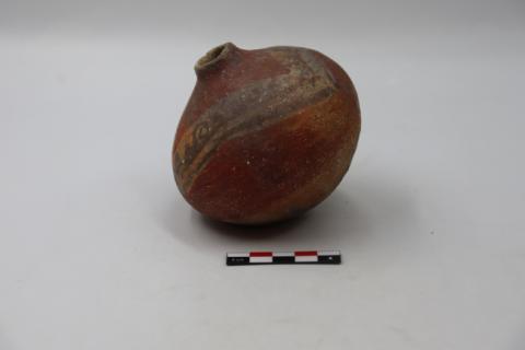 José Tomás Carrasco