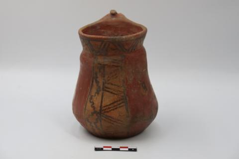 José Tomás Carrasco