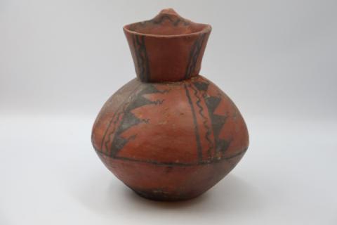 José Tomás Carrasco