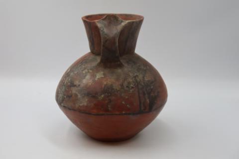 José Tomás Carrasco