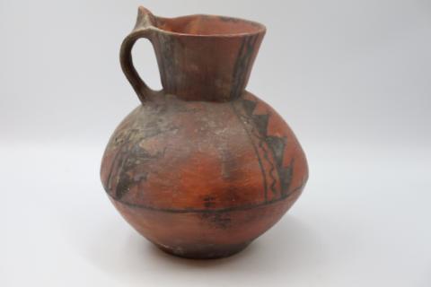 José Tomás Carrasco