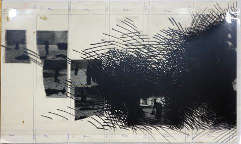 Carolina Correa Orozco