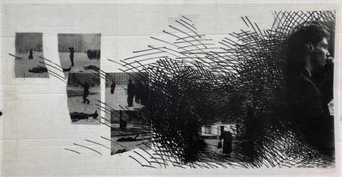 Carolina Correa Orozco