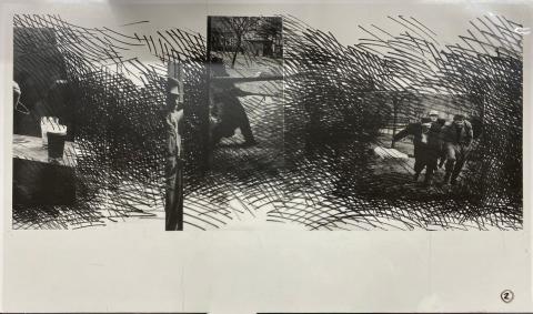 Carolina Correa Orozco