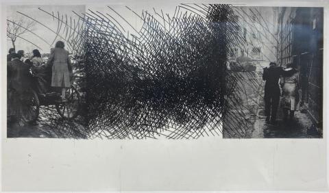 Carolina Correa Orozco