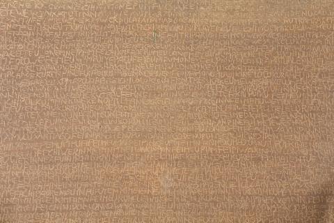 Carolina Correa Orozco