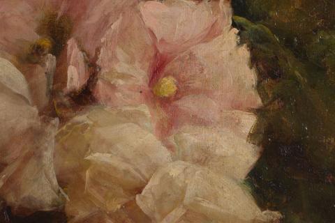 Carolina Correa Orozco