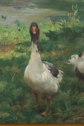 Carolina Correa Orozco