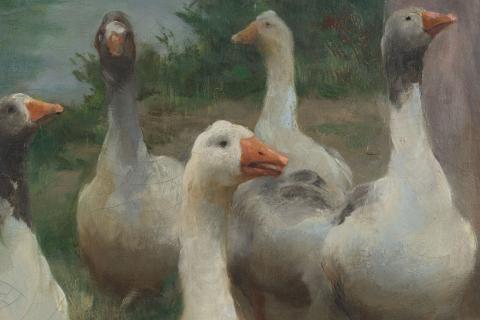 Carolina Correa Orozco