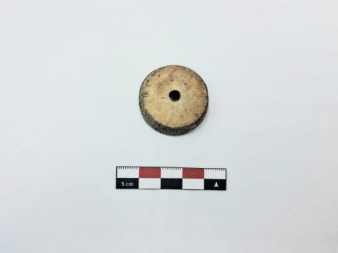 WhatsApp Image 2026-02-25 at 2.26.32 PM.jpg