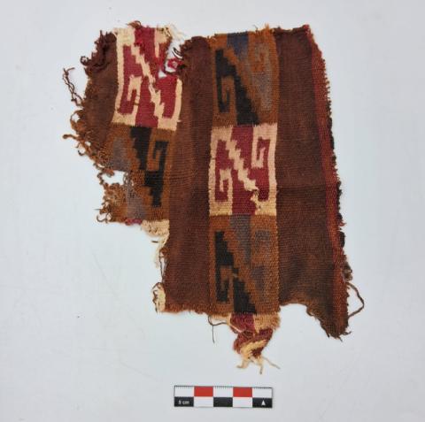 WhatsApp Image 2026-02-25 at 2.27.54 PM.jpg