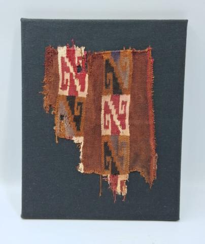 WhatsApp Image 2026-02-25 at 3.15.49 PM (1).jpg