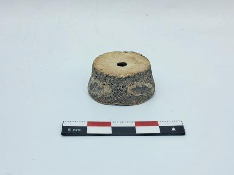 WhatsApp Image 2026-02-25 at 4.15.39 PM.jpg