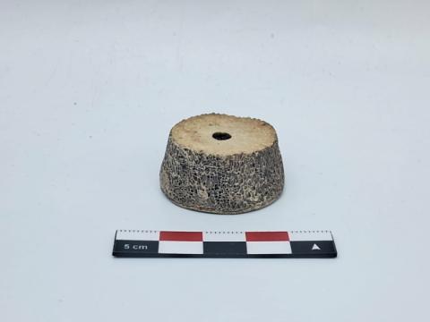 WhatsApp Image 2026-02-25 at 4.15.44 PM (1).jpg