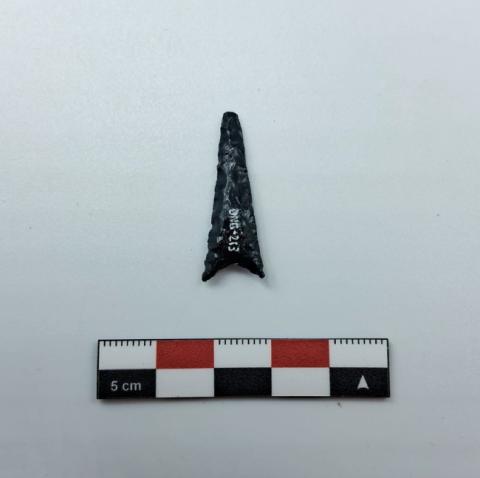 WhatsApp Image 2026-02-27 at 2.37.05 PM.jpg