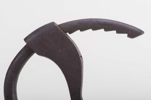 Gastón Calliñir Schifferli