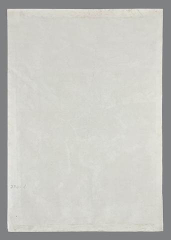 Andrea Loyola Rodríguez