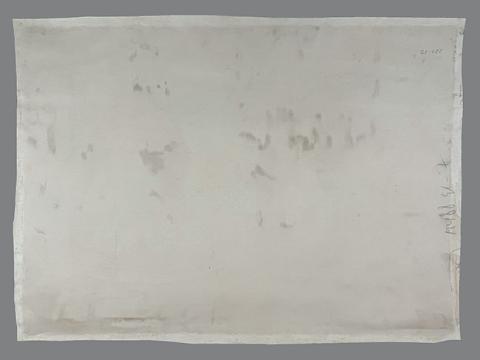 Andrea Loyola Rodríguez