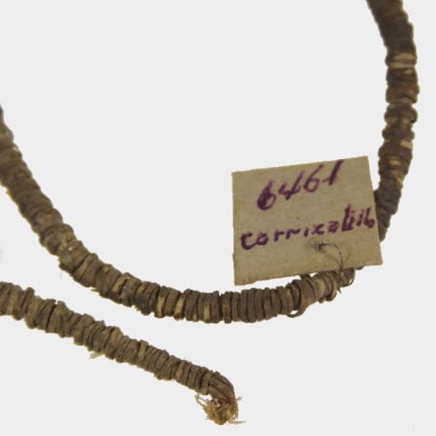 Luis Felipe Mansilla Mánquez