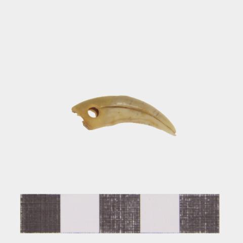 Luis Felipe Mansilla Mánquez