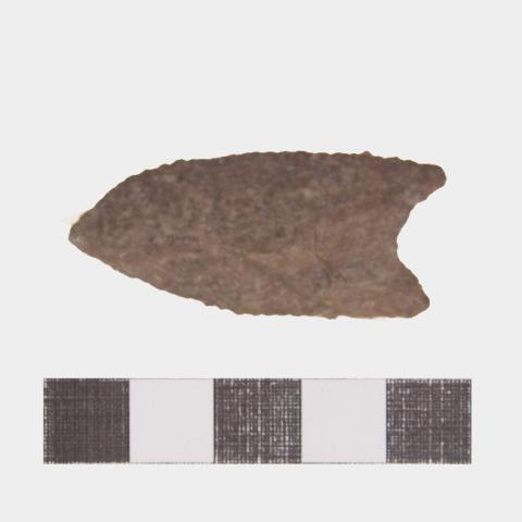 Luis Felipe Mansilla Mánquez