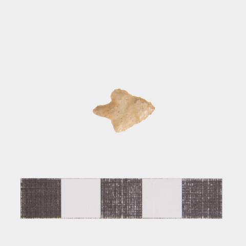 Luis Felipe Mansilla Mánquez