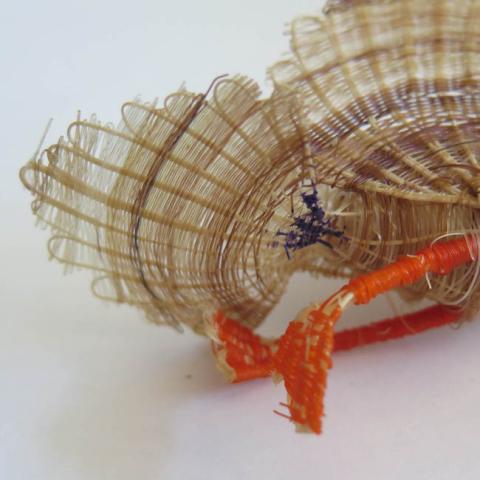 Margarita Valenzuela